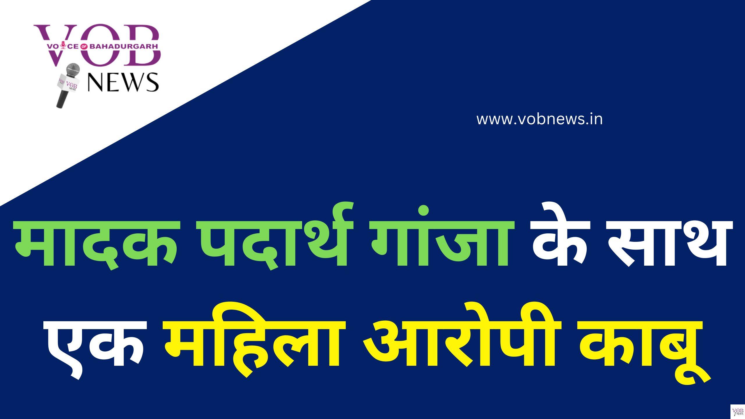 Read more about the article मादक पदार्थ गांजा के साथ एक महिला आरोपी काबू