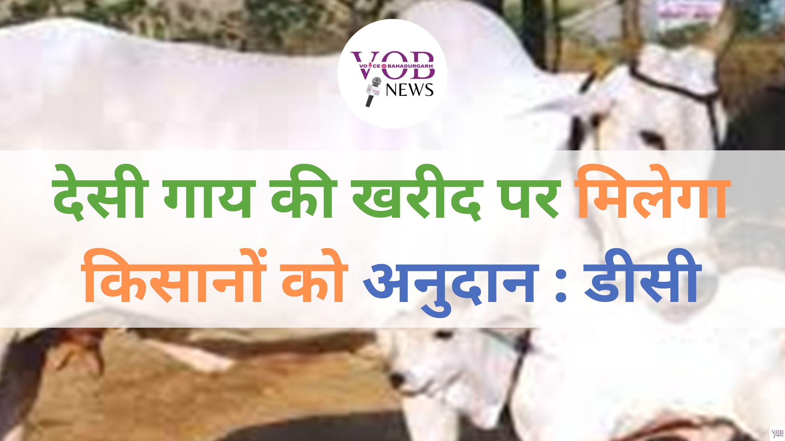 Read more about the article देसी गाय की खरीद पर मिलेगा किसानों को अनुदान : डीसी