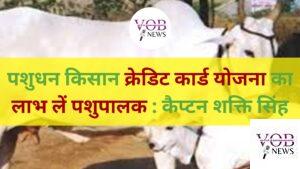 Read more about the article पशुधन किसान क्रेडिट कार्ड योजना का लाभ लें पशुपालक : कैप्टन शक्ति सिंह