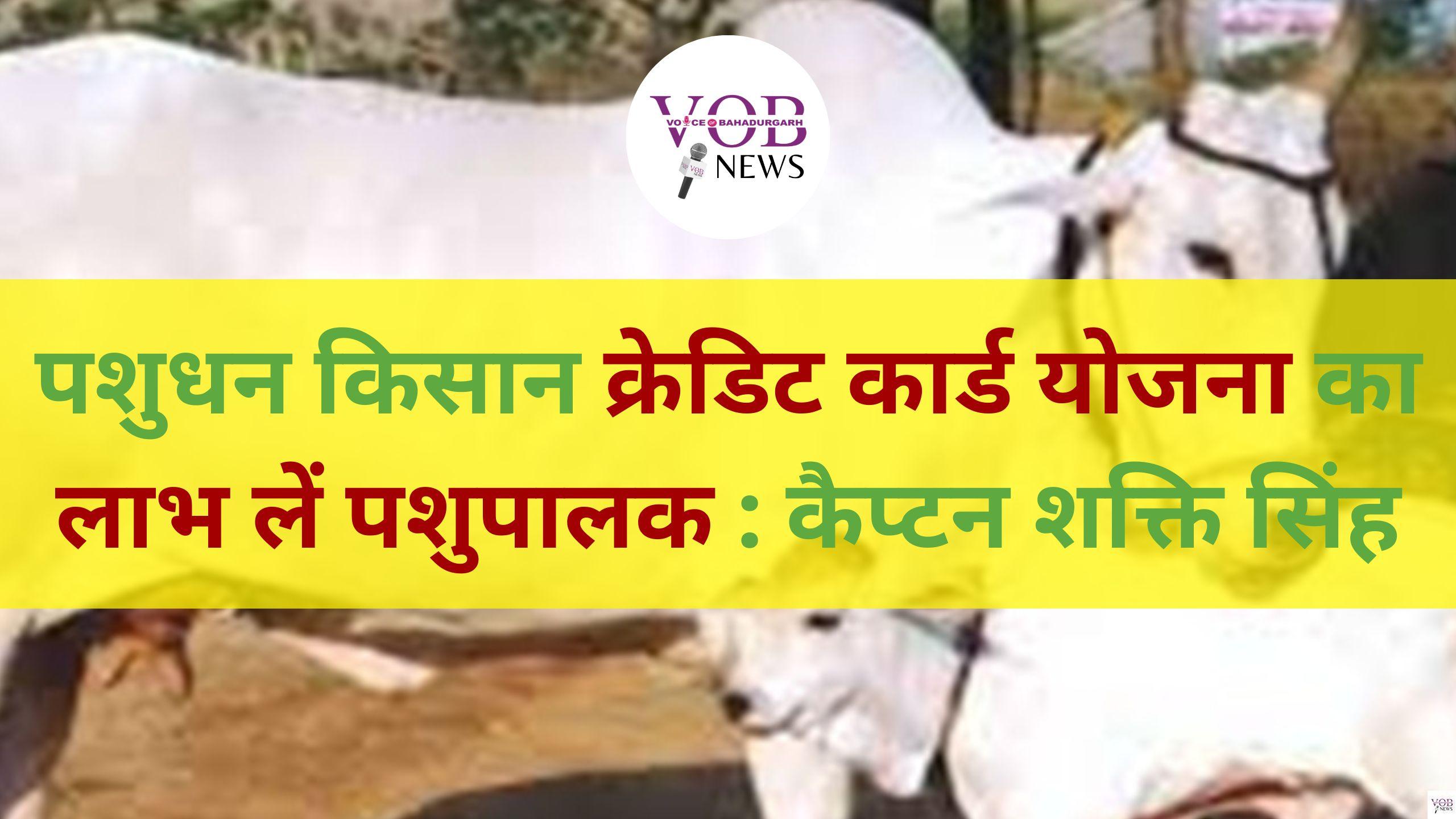 Read more about the article पशुधन किसान क्रेडिट कार्ड योजना का लाभ लें पशुपालक : कैप्टन शक्ति सिंह