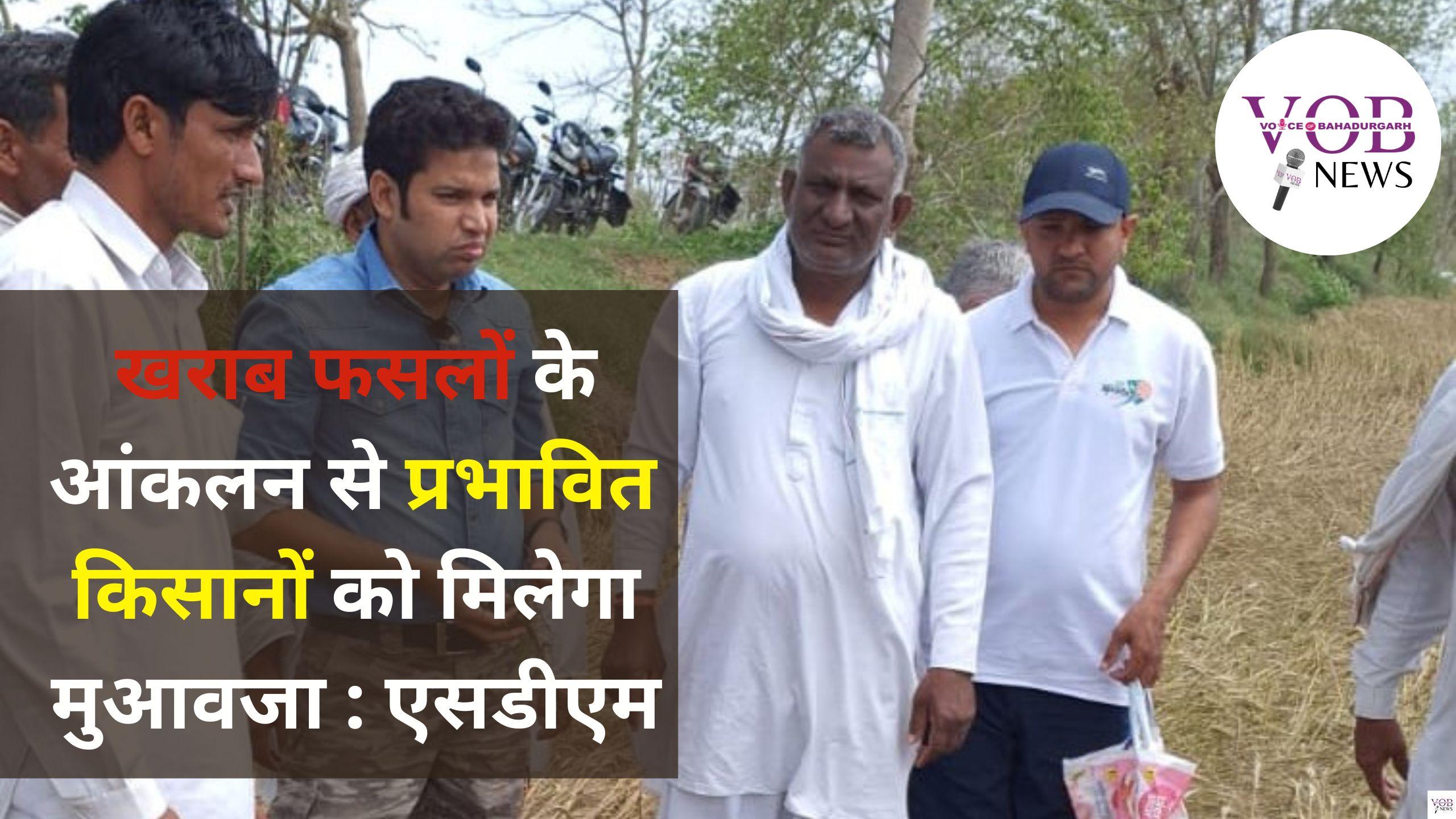 Read more about the article खराब फसलों के आंकलन से प्रभावित किसानों को मिलेगा मुआवजा : एसडीएम
