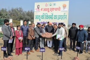 Read more about the article उच्च गुणवत्ता आलू बीज उत्पादन में हरियाणा अग्रणी कृषि राज्य : कृषि मंत्री